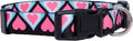 Native Pup Valentine’s Dog Collar- Valentines Day Pet Collars- Valentine Girly by NativePup