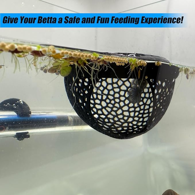 Aquarium Floating Betta Fish Skins, Betta or Shrimp Feeder, Cave and Hammock - Image 5