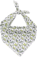 ARING PET Dinosaur Dog Bandanas, Summer Kerchief Triangle Bibs Scarf by ARINGPET