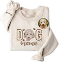 VIOLAVA Custom Cat Embroidered Christmas Sweatshirt – Personalized Pet Name by VIOLAVA
