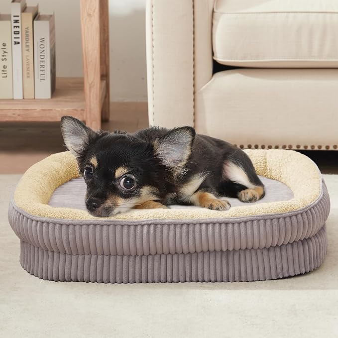 Orthopedic Dog Bed for Puppy, Extra Small Dogs Breeds, Oval Cat Bed, High by DEBANGHOME