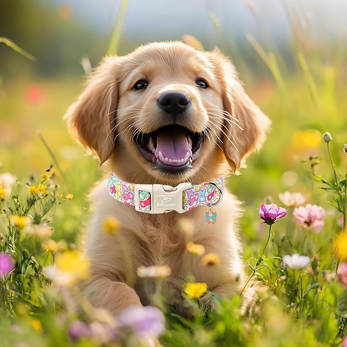 Easter Dog Collar for Large Dogs - Image 7