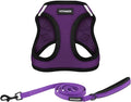 Best Pet Supplies Voyager Step-in Air All Weather Mesh Harness and Reflective by BestPetSuppliesLLC