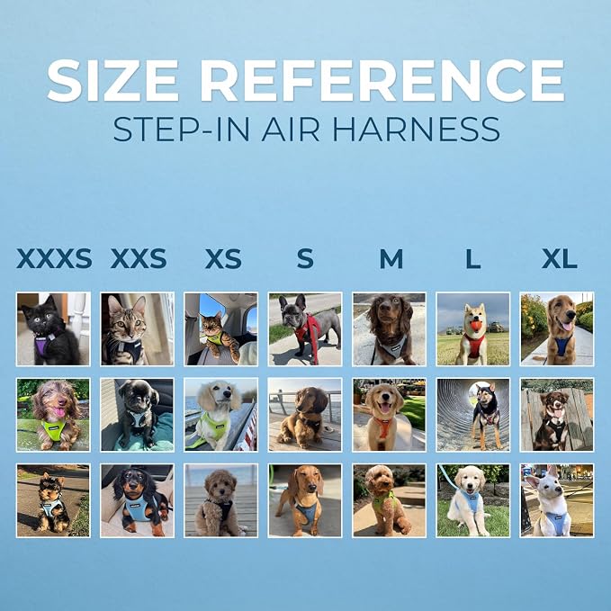 Best Pet Supplies Voyager Step-in Air All Weather Mesh Harness and Reflective - Image 6