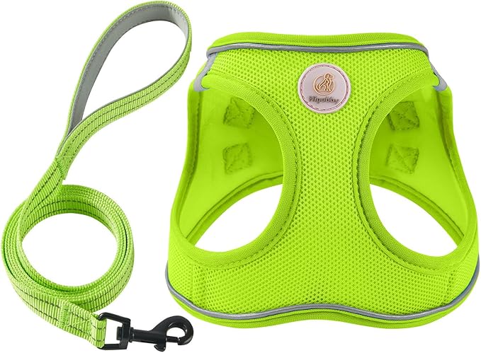 Hipubby Dog Harness and Leash Set, No Pull Soft Mesh Puppy Harness by Hipubby