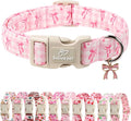 Girl Dog Collar for Small Dogs by Babolepet