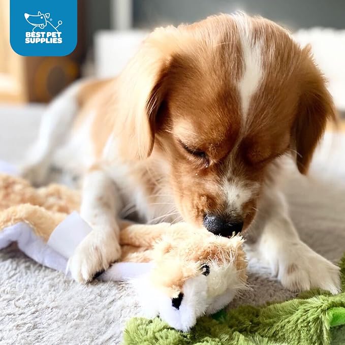 Best Pet Supplies 2-in-1 Stuffless Squeaky Dog Toys - Image 6
