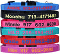 Personalized Nylon Cat Collar Breakaway by Unknown
