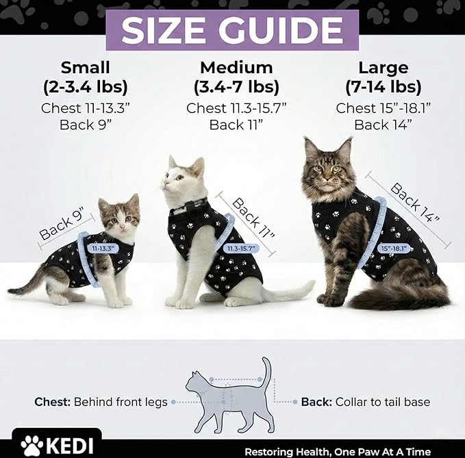 Kitten Recovery Suit Female, Kitten Onesie After Spay, Cat Surgery Suit Female - Image 3