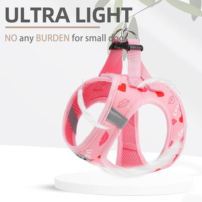 PUPTECK Adjustable Dog Harness Collar and Leash Set Step in No Pull Pet Harness - Image 5