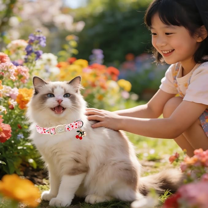 Cat Collar, Cat Collar with Bell, - Image 5