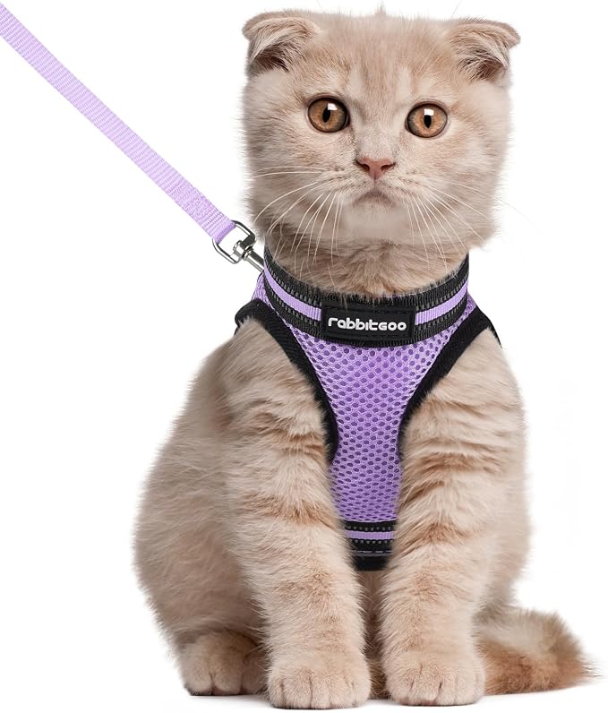 rabbitgoo Cat Harness and Leash Set by rabbitgoo