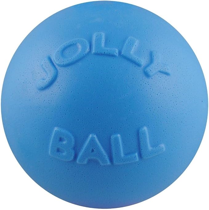 Jolly Pets Bounce-n-Play Dog Toy Ball, 6 Inches, All Breed Sizes - Image 2