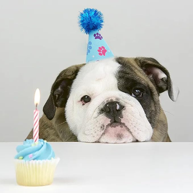 6pcs/Pack Mini Dog Party Hats for Small XS Cat Puppy Doggie Kitten Rabbit - Image 7