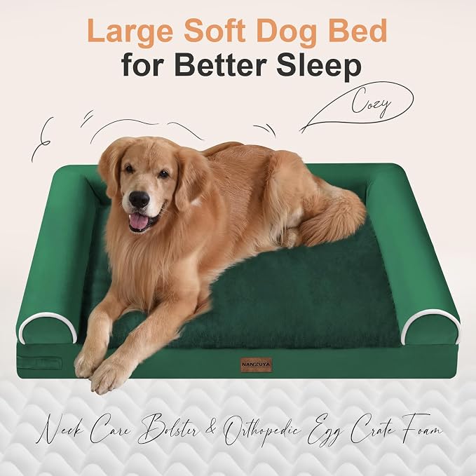 Large Dog Bed Orthopedic Washable: Beds Bolster XL Bed Medium Large Dogs Egg - Image 2