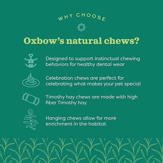 Oxbow Enriched Life Natural Dangly Party Pack, Rabbit Toys, Guinea Pig Toys - Image 4