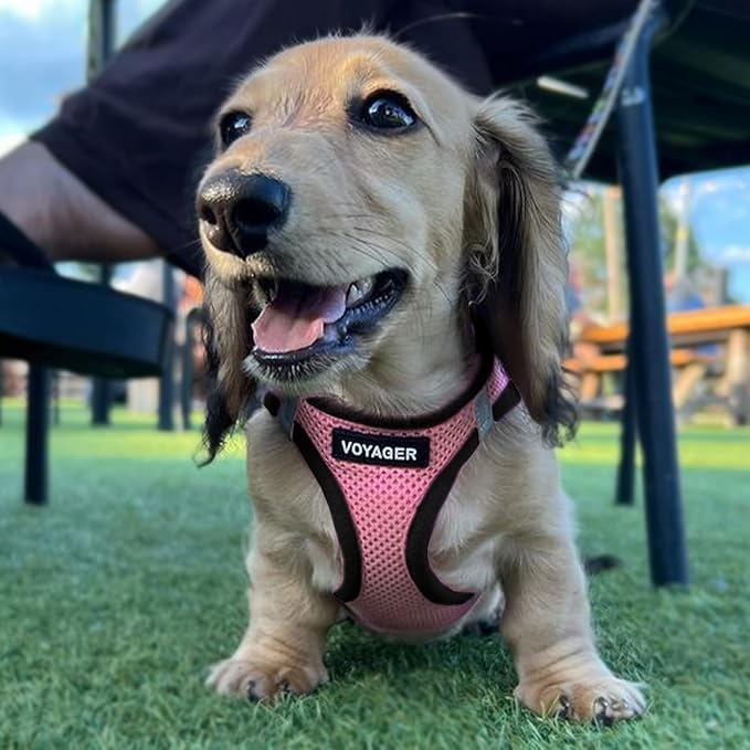 Best Pet Supplies Voyager Step-in Air Harness - Image 7