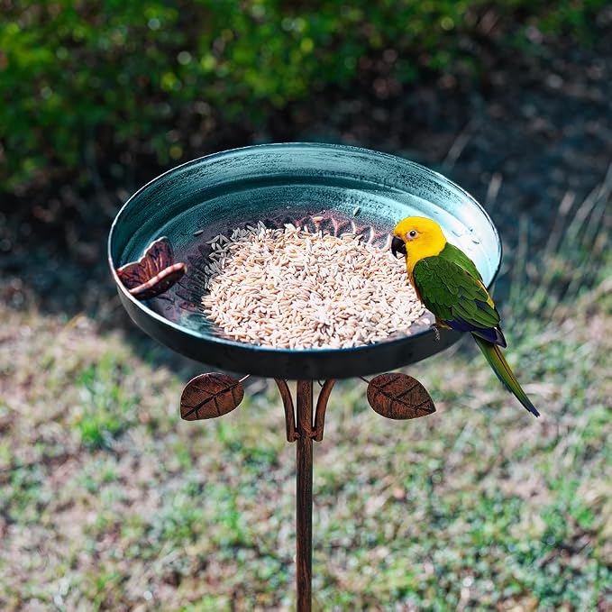 DREAMSOUL 38 Inch Bird Bath - Image 4