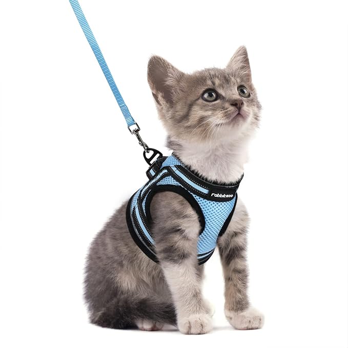 rabbitgoo Cat Harness and Leash Set by rabbitgoo