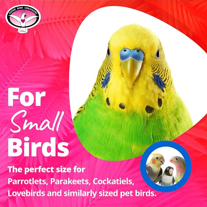 Super Bird Creations SB872 Mini Xmas Tree Bird Toy, Small/Medium Bird Size - Image 3