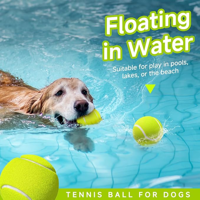HETOO Tennis Balls for Dogs: 6 Pack 2.5 Inch Dog Balls- Dog Tennis Ball- - Image 4