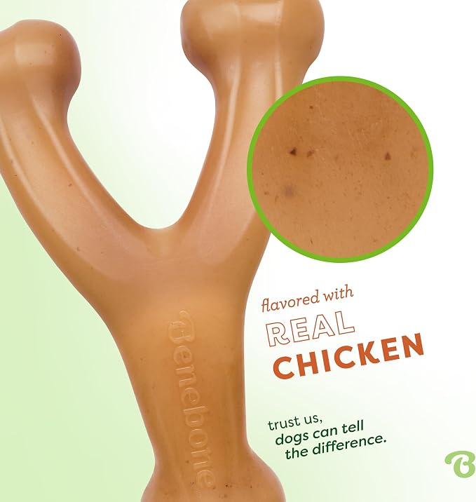 Benebone Wishbone Durable Dog Chew Toy - Image 2