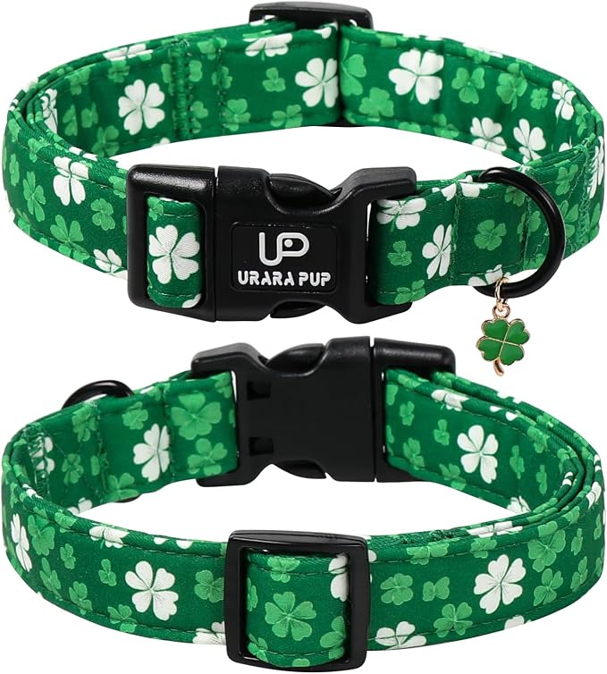 St. Patrick's Day Dog Collar, UP URARA PUP Shamrock Adjustable Pet Collar - Image 2
