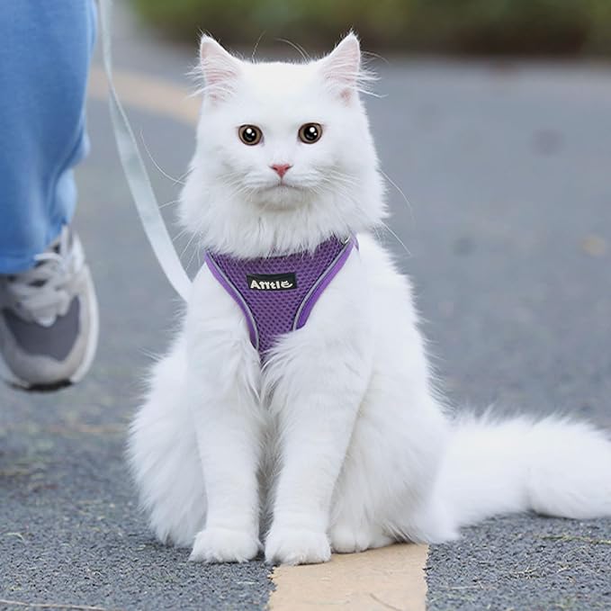 AIITLE Easy Walk Dog Harness and Leash Set - Image 6