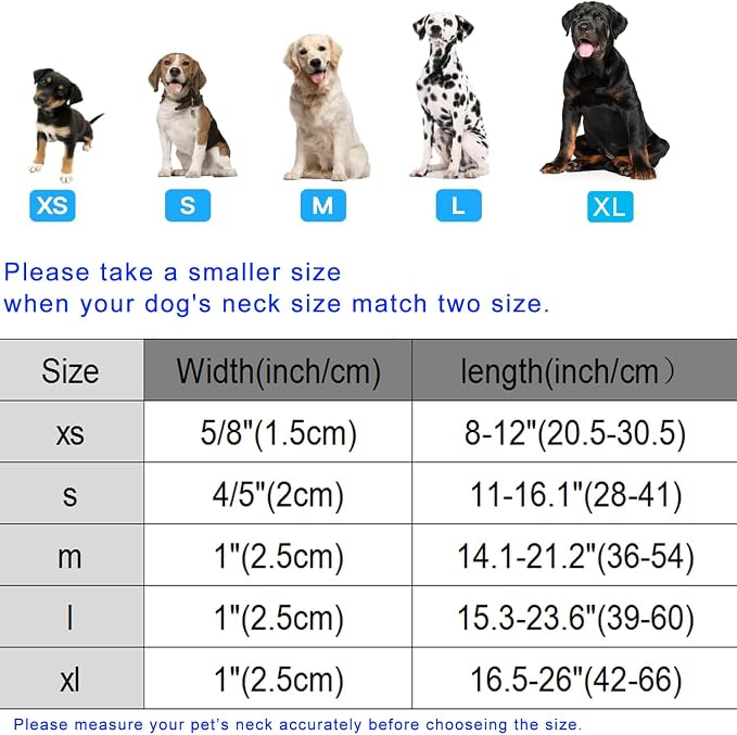 DOGWONG Valentine Dog Collar, Girl Female Dog Collars - Image 6
