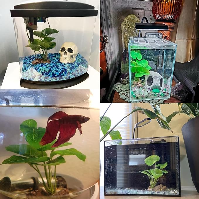 Smoothedo-Pets Fish Tank Decor Aquarium Decorations Ornaments Betta Leaf pad - Image 7