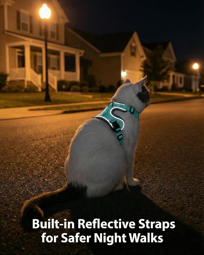 Luxelle 2 Pack Escape-Proof Cat Harness and Leash Set - Image 6