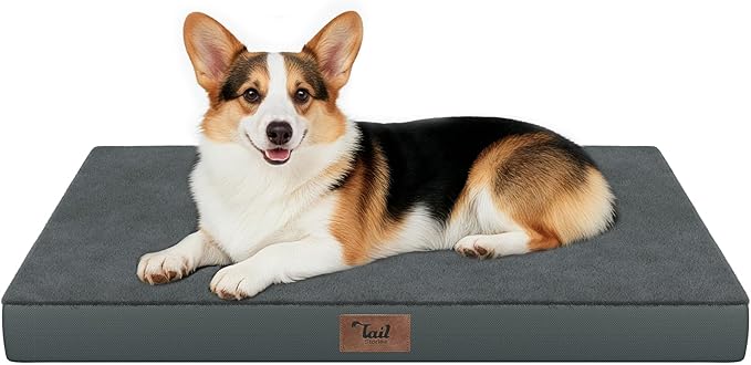 Orthopedic Dog Bed for Large Dogs, Plush Washable Pet Bed for Large Size Dogs by TailStories