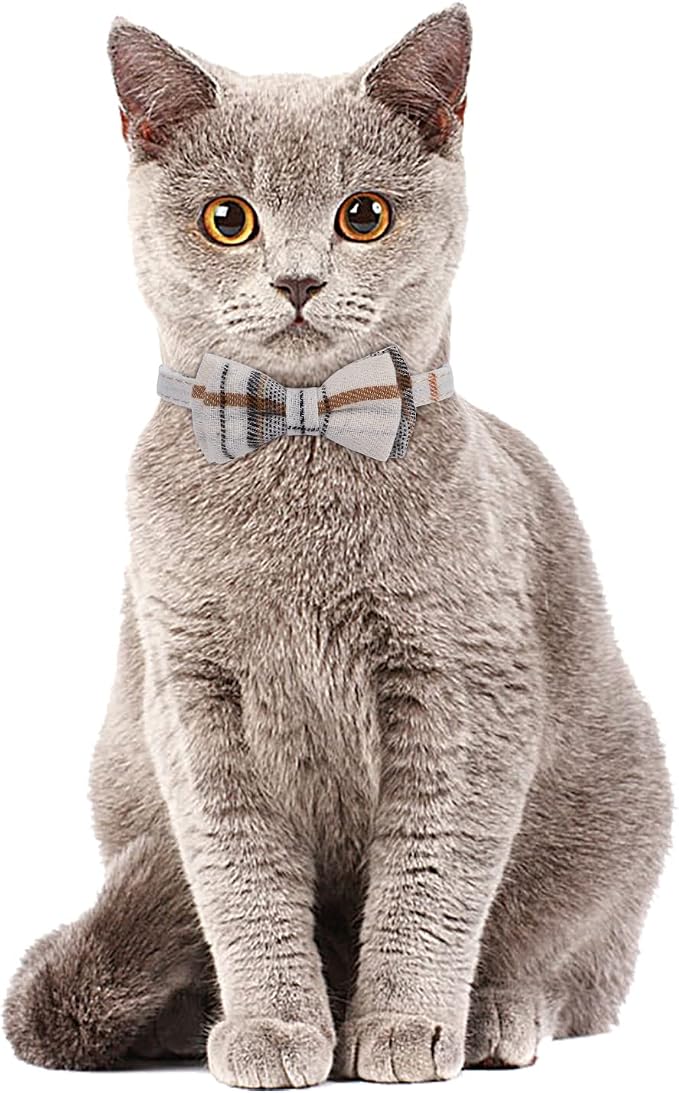 Faleela 2 Pack/Set Cat Collar - Image 4