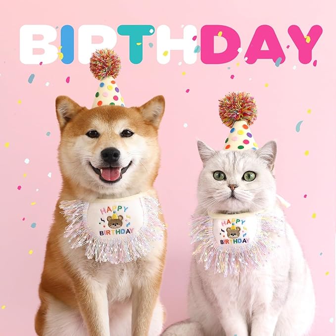 Cat Birthday Bandana Scarf and Party Hat Cute Tassels Bib Scarf and Birthday - Image 4