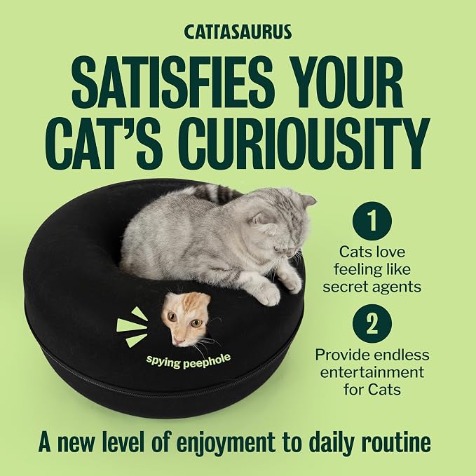 Cattasaurus Peekaboo Cat Cave Donut - Image 5