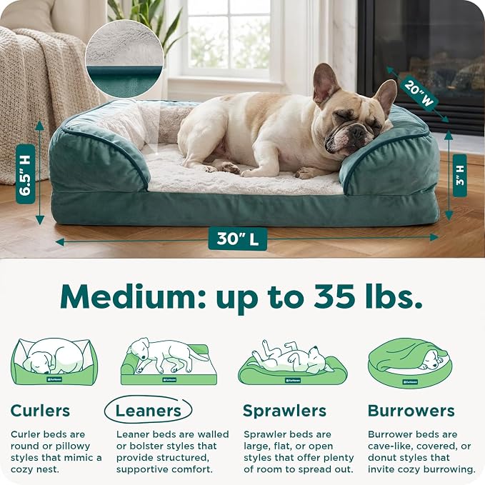 Furhaven Memory Foam Dog Bed for Medium/Small Dogs w/ Removable Bolsters & - Image 3