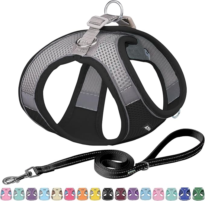 AIITLE Easy Walk Dog Harness and Leash Set by AIITLE-FORPETSBETTERLIFE
