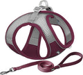 AIITLE No Pull Dog Harness and Leash Set, Christmas Step in Adjustable Dog by AIITLE-FORPETSBETTERLIFE