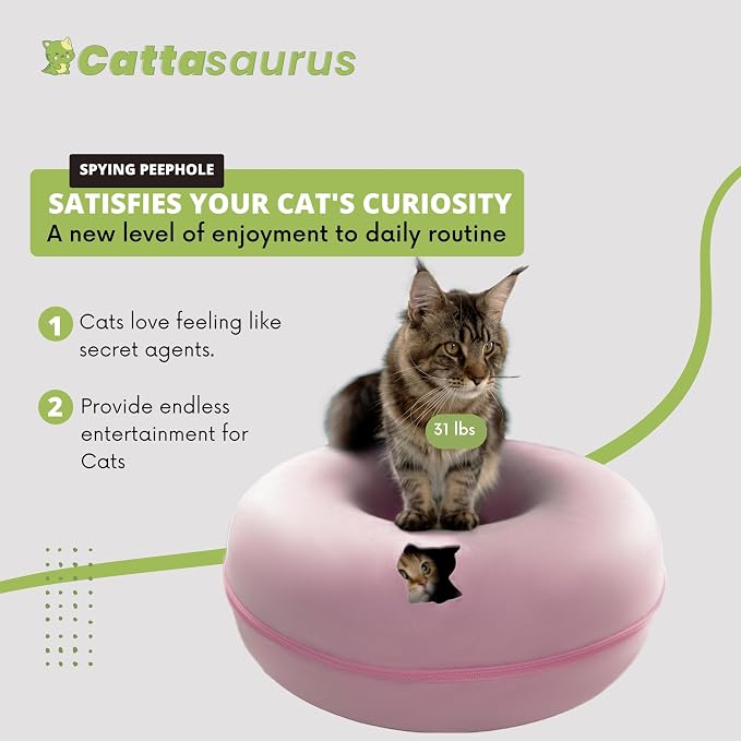 Cattasaurus Peekaboo Cat Cave Donut - Image 3