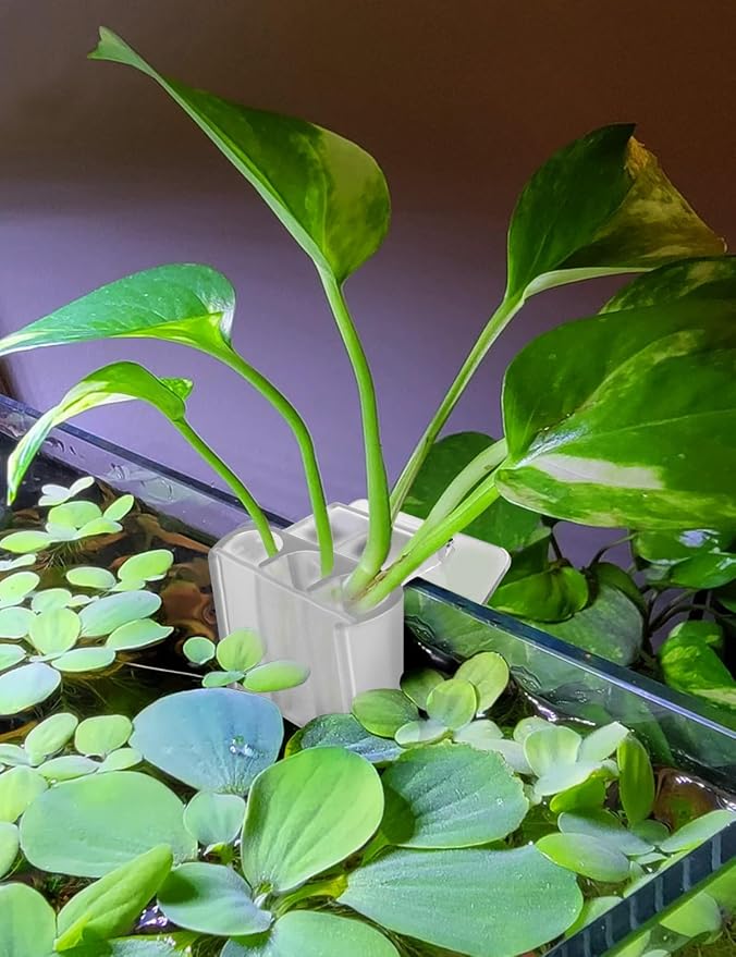 4 Pk Upgraded Aquarium Plant Holder, 3-Hole Hanging Aquarium Plant Holder - Image 2