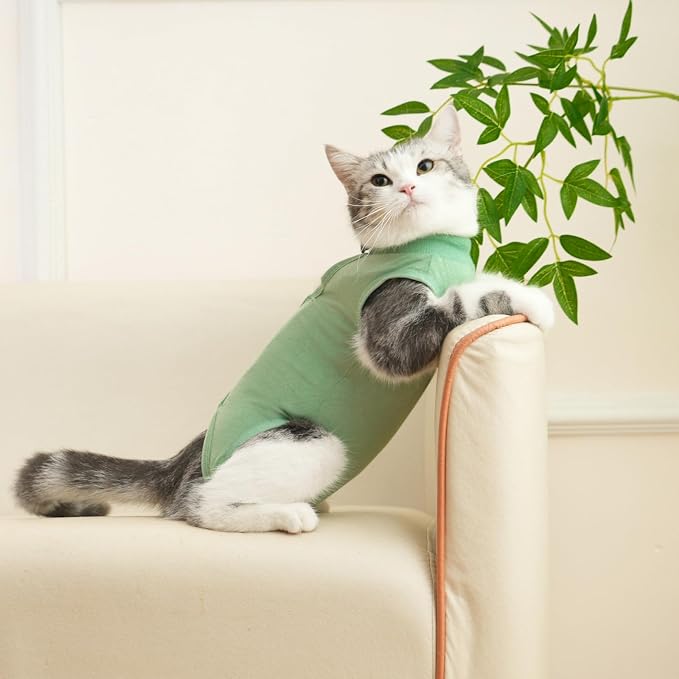 Cat Recovery Suit Cat Onesie for Cats After Surgery Female Male Spay Kitten - Image 5
