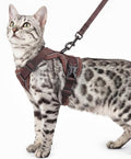 Cat Harness and Leash Set Escape Proof Tactical Medium Kitten Harness Emotional by pangdi