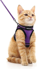 rabbitgoo Cat Harness and Leash Set by rabbitgoo