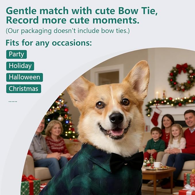 Koneseve Dog Shirt - Image 6