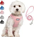 PetiFine Step in Small Dog Harness and Leash Set, Breathable All Weather Air by PetiFine