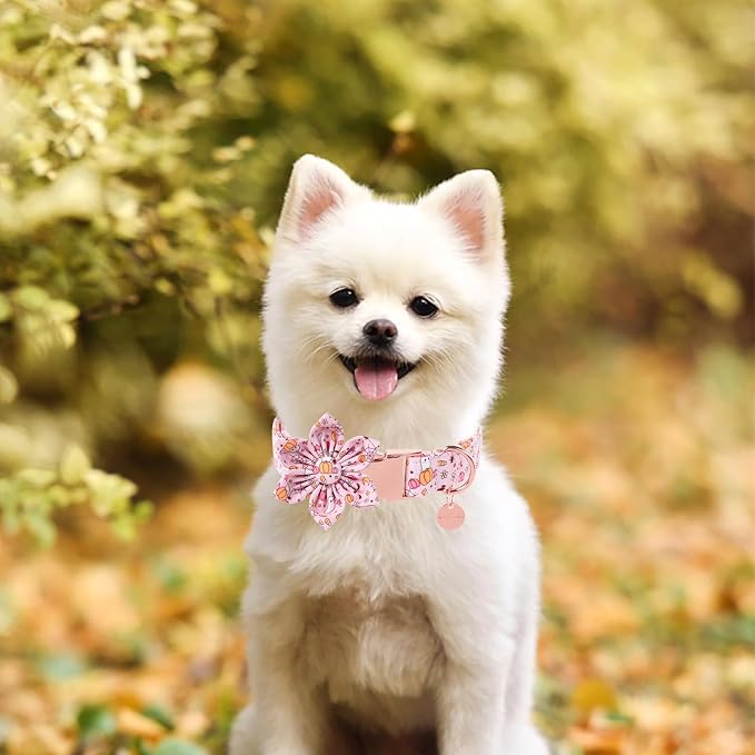 Halloween Dog Collar With Flower, Fancy Bowtie Gift - Image 5