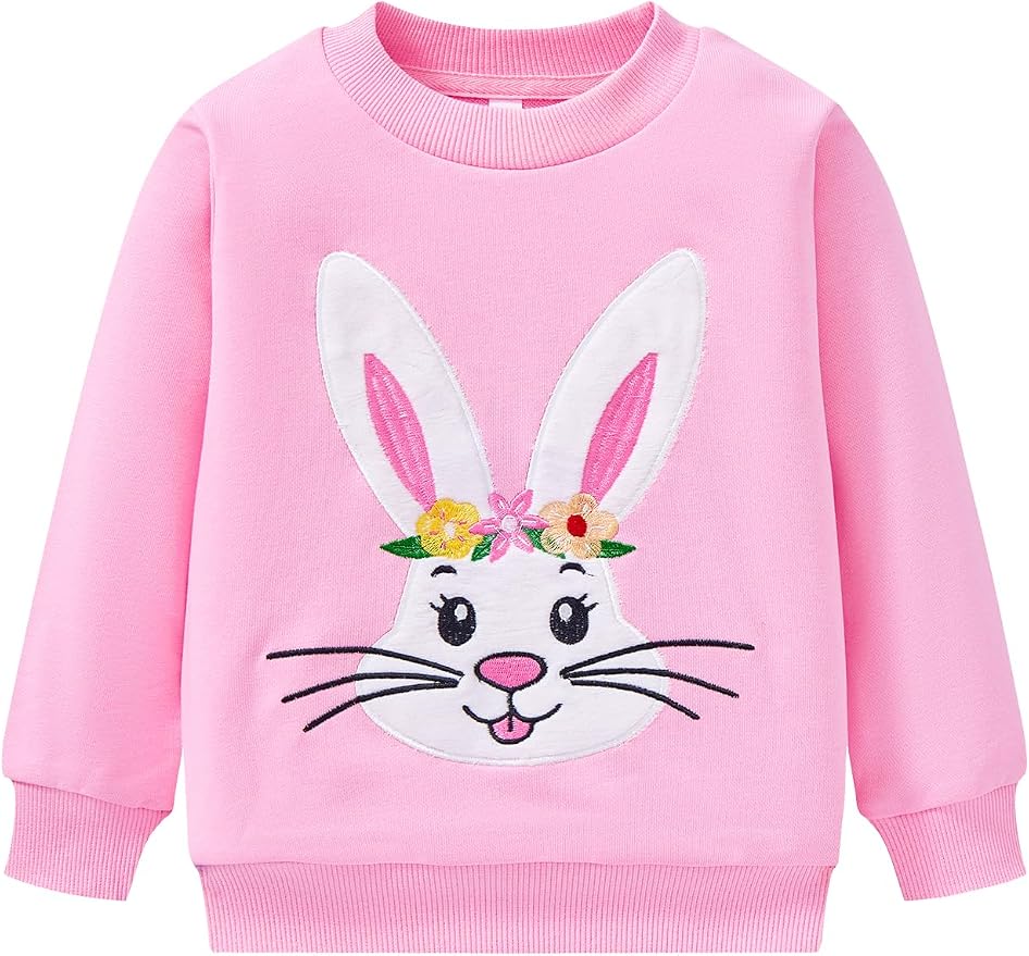 Toddler Baby Girls Cotton Sweater, Long Sleeve Crewneck Sweatshirt Pullover by Unknown