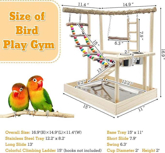 Hamiledyi Bird Playground Parrots Wood Perch Stand Cockatiel Playground Bird - Image 4