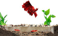 Shrimp Breeding Protector | Shrimp Breeding Cave Aquarium Tunnel | CTWPets by CTWPets