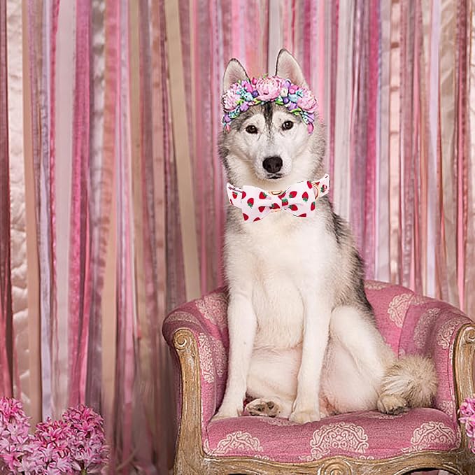 Elegant little tail Dog Collar, Strawberries Print Pet Collar Summer Dog Collar - Image 6